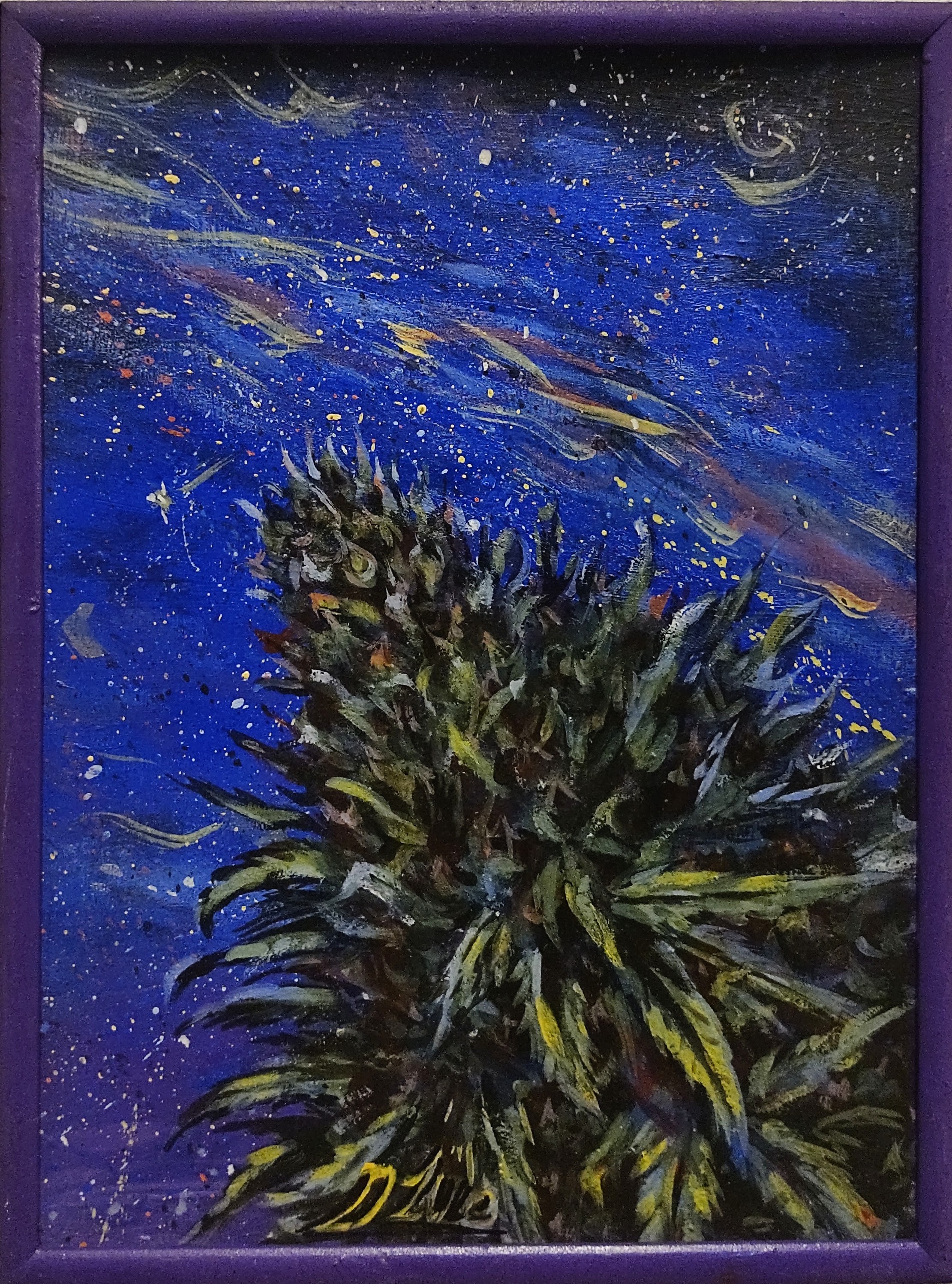 Árbol y cielo nocturno